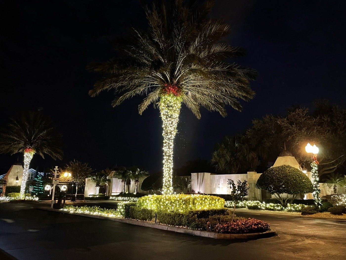 Community roundabout at night with wrapped palm trees and lit hedge rings